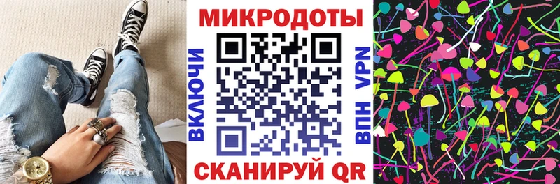 Псилоцибиновые грибы Psilocybine cubensis  продажа наркотиков  ОМГ ОМГ ONION  Шебекино 