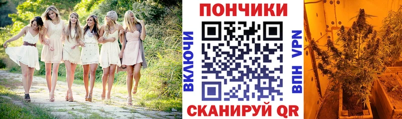 что такое   Шебекино  Марихуана конопля 